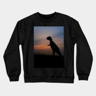 Dino Special Crewneck Sweatshirt